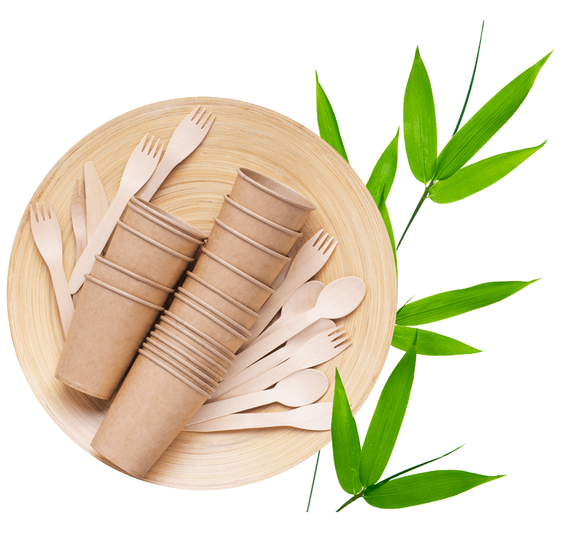 BAMBÚ- Envases biodegradables ECOLINE