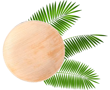 Hoja de palma - Envases biodegradables ECOLINE